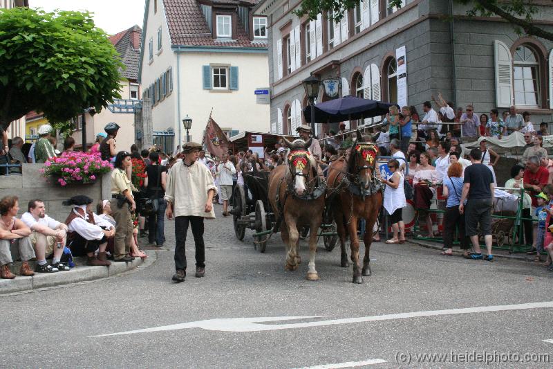 IMG_6473 (2) 